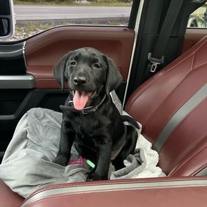 Meet your Posher, James